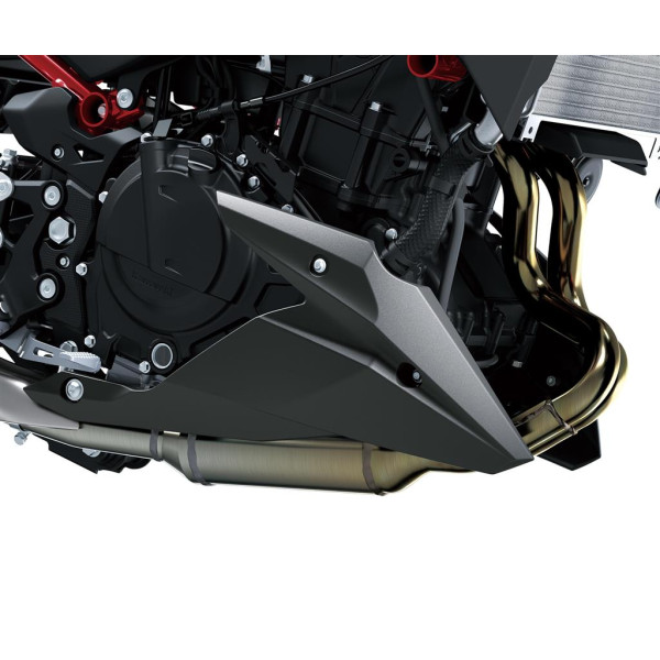 Kawasaki Lower cowling (Bellypan)